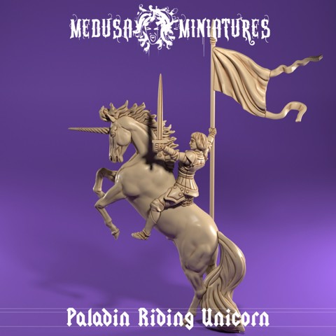 Image of Paladin Princess Riding Unicorn