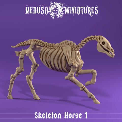 Image of Skeleton Horse - Running