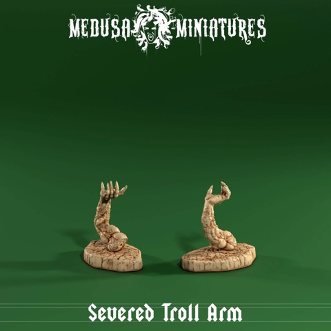 Image of Severed Troll Arm...attacking!!