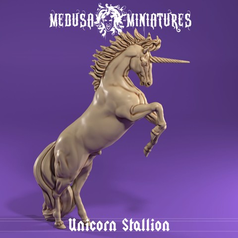 Image of Unicorn Stallion