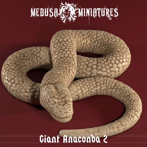 Image of Cult of the Cobra - Giant Snake Anaconda 2
