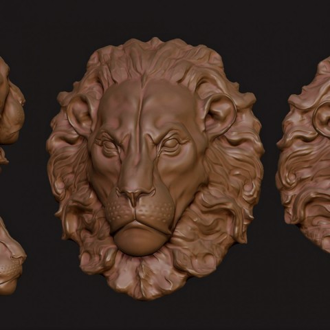 Image of lion head