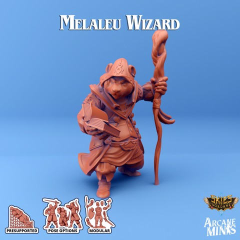 Image of Melaleu Wizard - Merchant Guilds