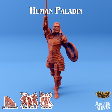 Image of Human Paladin - Merchant Guilds
