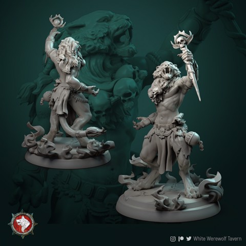 Image of Tabaxi shaman 32mm pre-supported