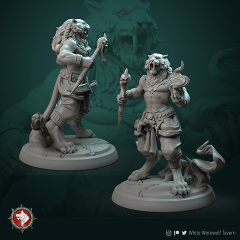 Image of Tabaxi leonin mage 32mm pre-supported