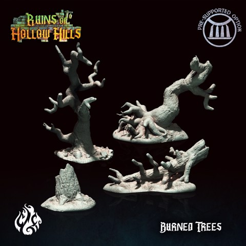Image of Burned Trees - Ruins of Hollow Hills