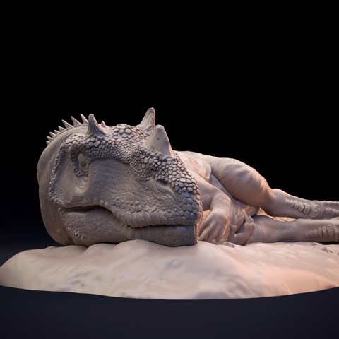 Image of Ceratosaurus sleeping