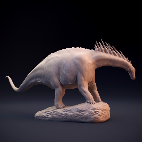 Image of Amargasaurus
