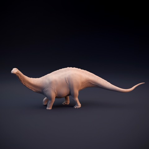 Image of Apatosaurus