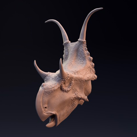 Image of Diabloceratops head