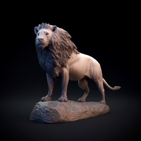 Image of Lion - pre supported
