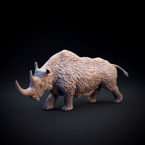 Image of Woolly rhinoceros
