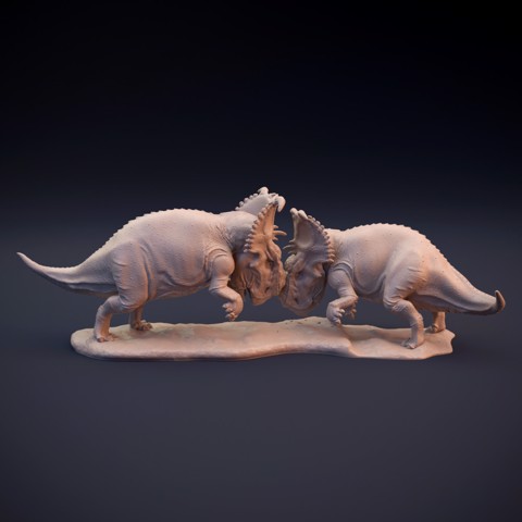 Image of Pachyrhinosaurus fighting