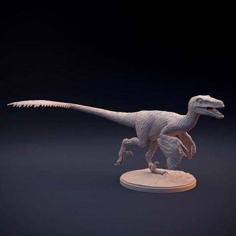 Image of Velociraptor feathered