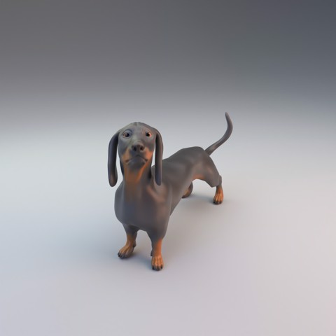 Image of Dachshund - pre supported