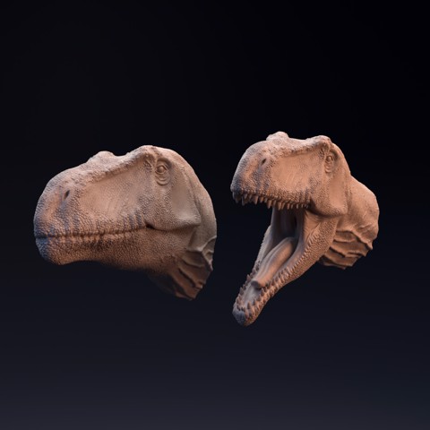 Image of Giganotosaurus head mouth open and closed