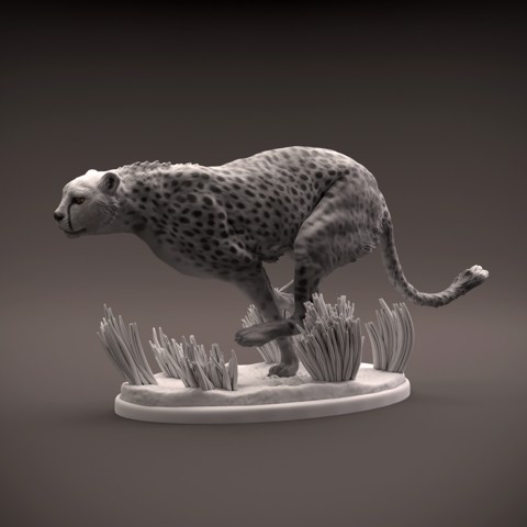 Image of Cheetah running
