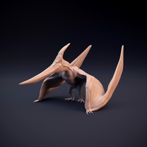 Image of Pteranodon - pre supported
