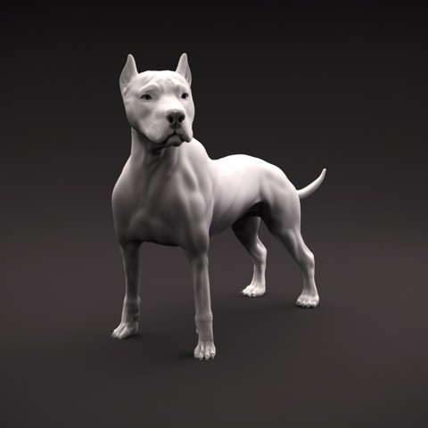 Image of Pit Bull Terrier