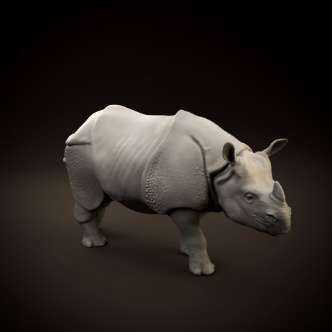 Image of Indian rhinoceros