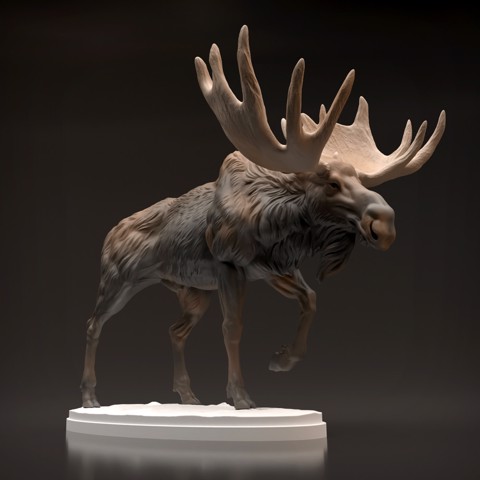 Image of Bull Moose