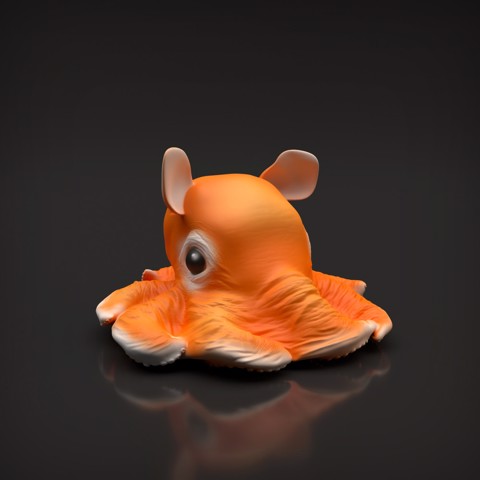 Image of Dumbo Octopus