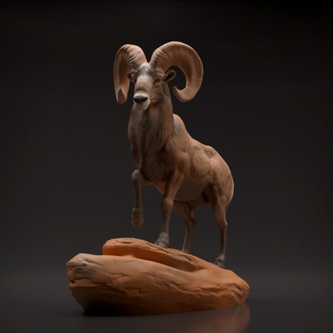 Image of Bighorn Ram