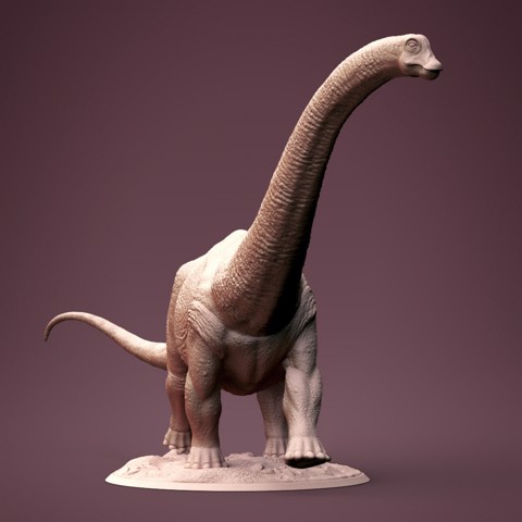 Image of Brontosaurus baby