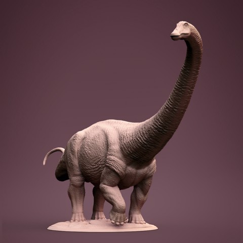 Image of Brontosaurus female