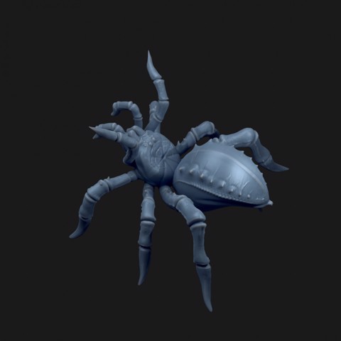 Image of Tarantula Spider .