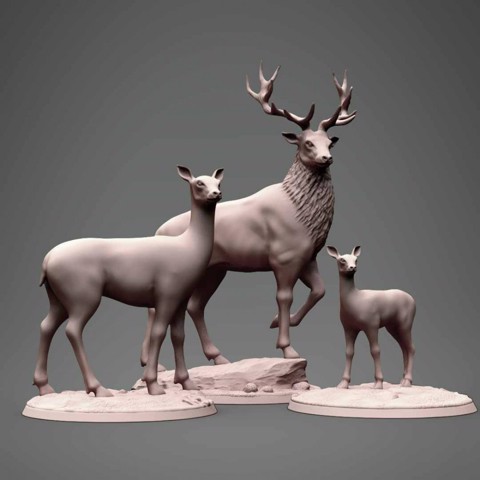 Image of Deer family