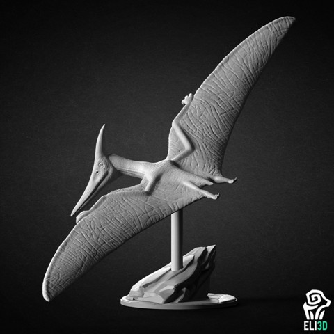 Image of Pteranodon - Dinosaur