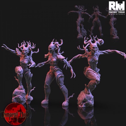 Image of Tempest Hold Dryads