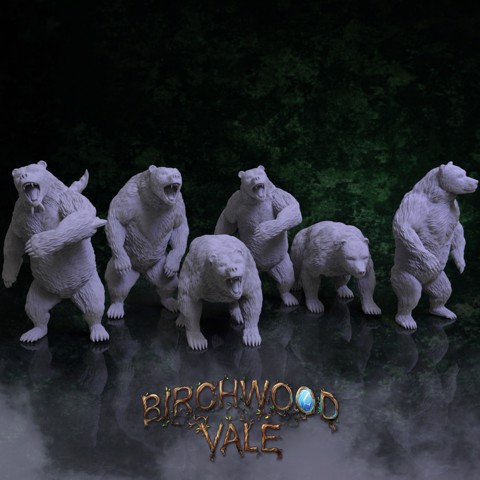 Image of Birchwood Vale Adversaries Bears