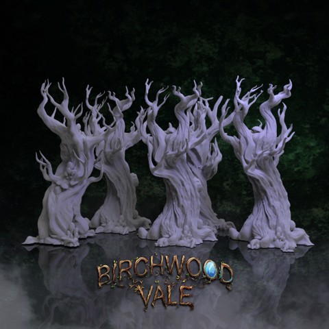 Image of Birchwood Vale Ancient Forest
