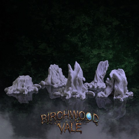 Image of Birchwood Vale Ancient Stumps