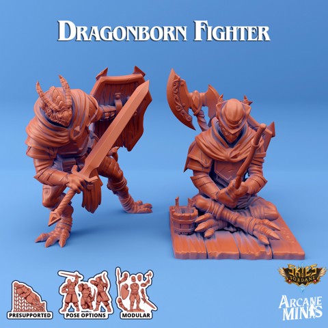Image of Dragonborn Fighter - Scrapper Pirates