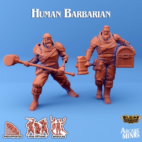 Image of Human Barbarian - Scrapper Pirates