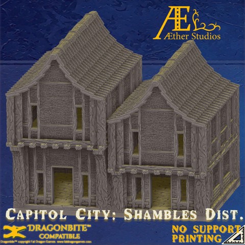 Image of AECAPC1 – Shambles District