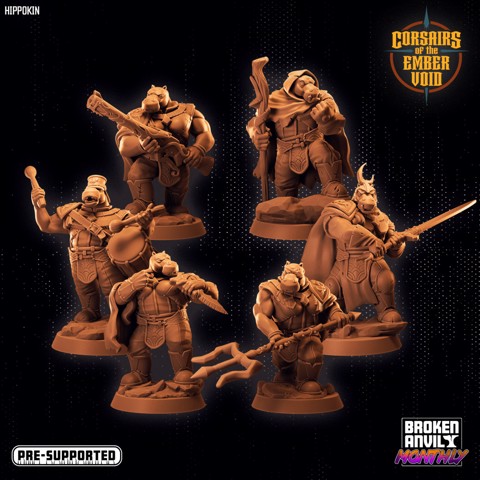 Image of Corsairs of the Ember Void - Hippokin Group
