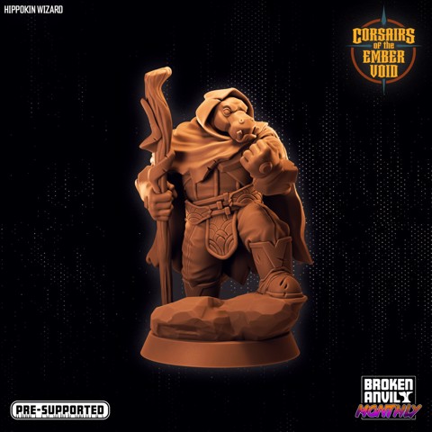Image of Corsairs of the Ember Void - Hippokin Wizard