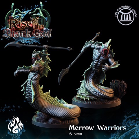 Image of Merrow Warriors