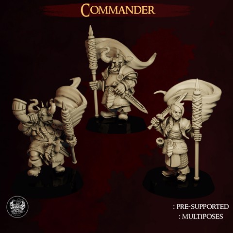 Image of Dwarf Army Commander