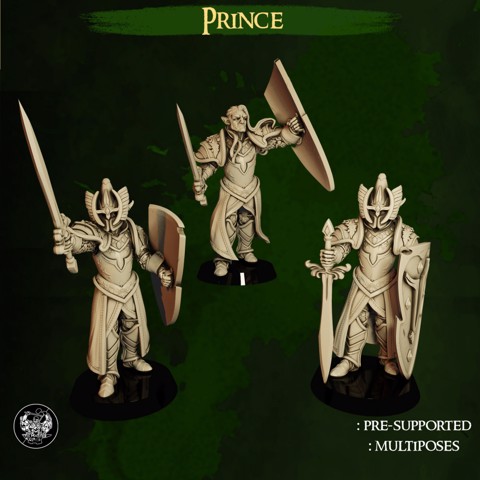 Image of High Elves Prince