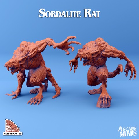 Image of Sordalite Rat