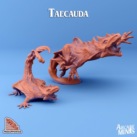 Image of Taecauda Lizards