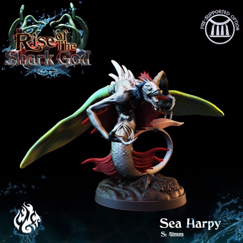 Image of Sea Harpy