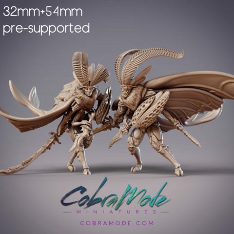 Image of Mothfolk Swordsman - Fidelium Hunters (Pre-Supported)