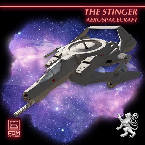 Image of Stinger Aerospacecraft